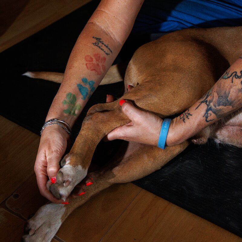 Viki egy barna kutya hátsó lábát fogja a matracon